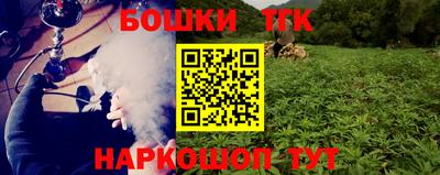 ешки Славгород
