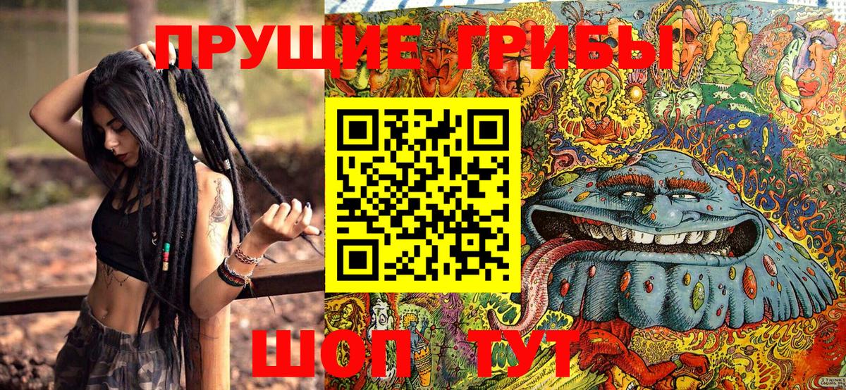 Псилоцибиновые грибы прущие грибы Новодвинск
