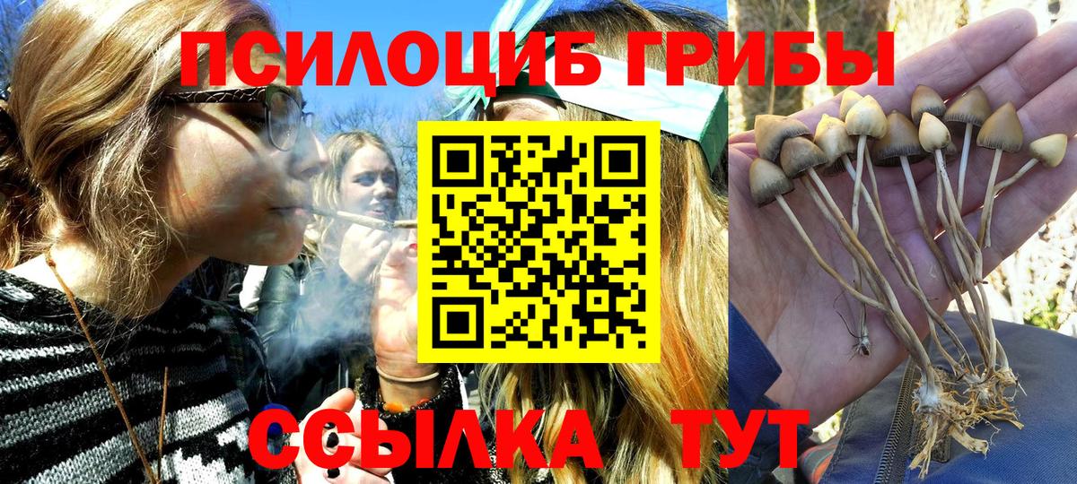 Псилоцибиновые грибы Cubensis  Вход с VPN  Новодвинск  Галлюциногенные грибы Cubensis 